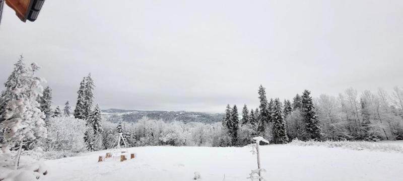 Niedzwiedzia *